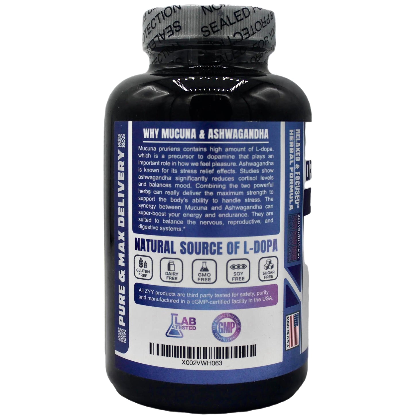 Probiotic Oral Health